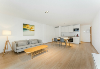 1 Bedroom Apartment