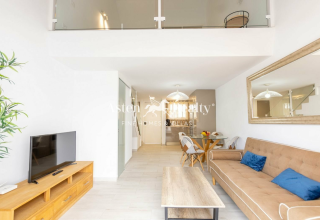 1 Bedroom Penthouse